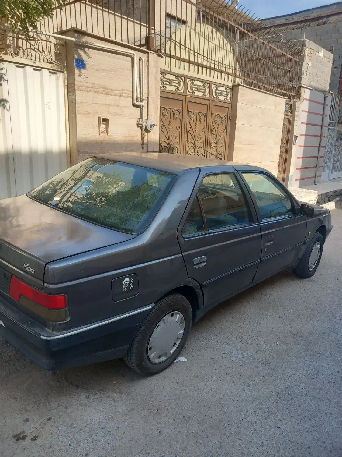 پژو روا|خودرو سواری و وانت|باغستان, |دیوار