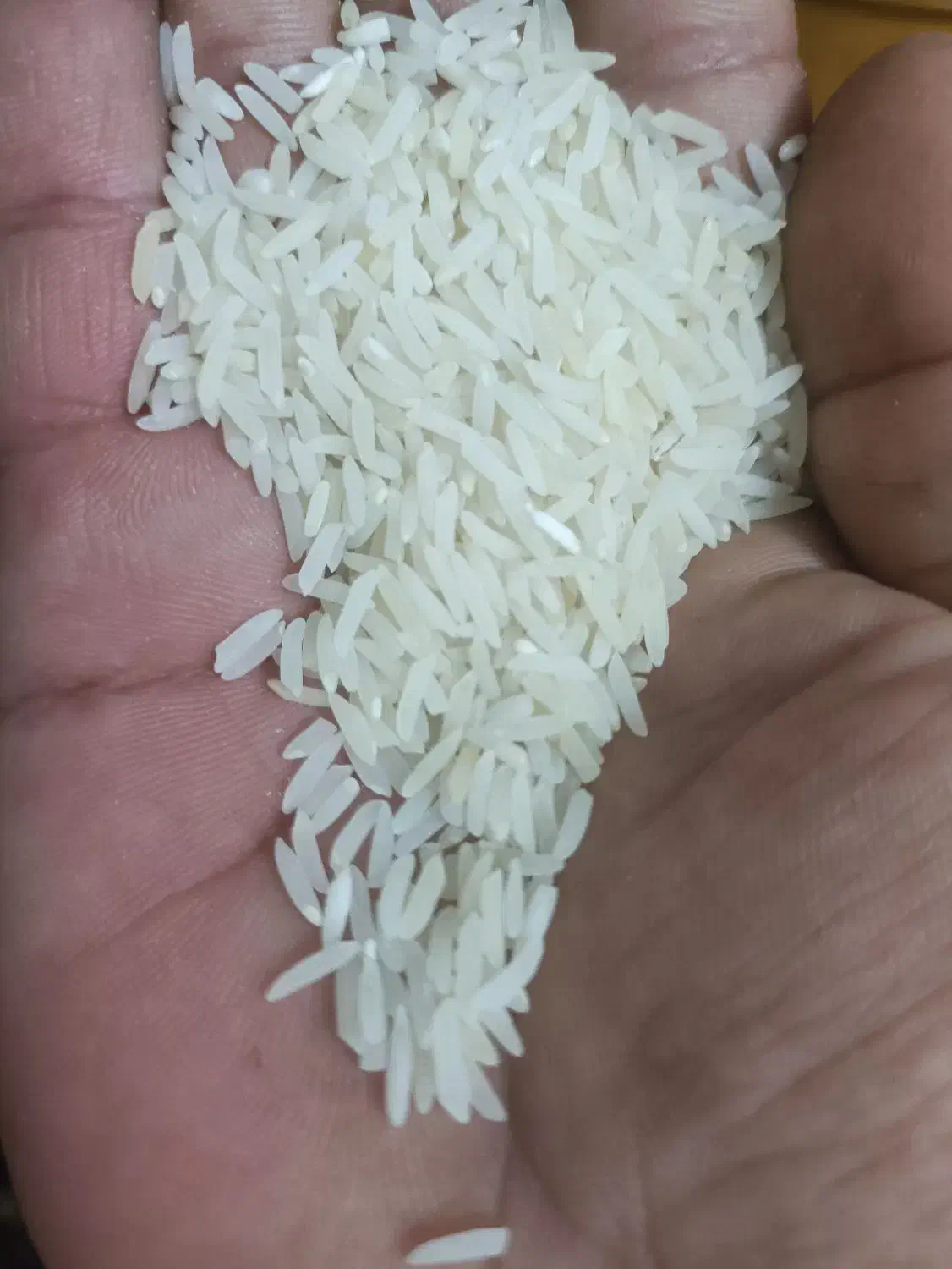 برنج فجر|خوردنی و آشامیدنی|گرگان, |دیوار