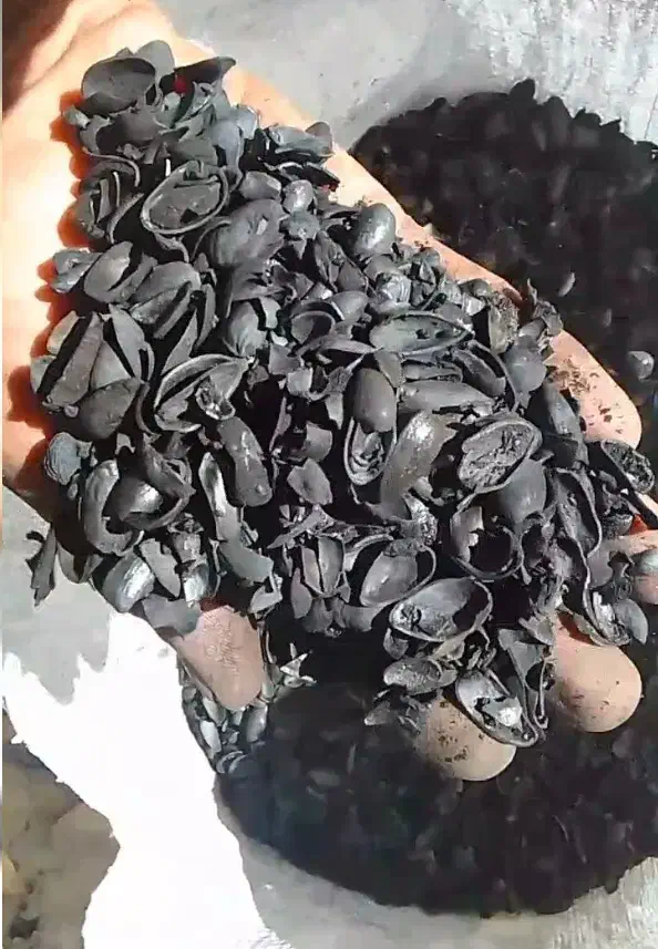 کربن پوس پسته|عمدهفروشی|رفسنجان, |دیوار