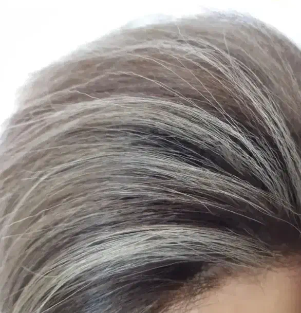 میکاپ و رنگ ولایت|آرایشی، بهداشتی، درمانی|لردگان, |دیوار