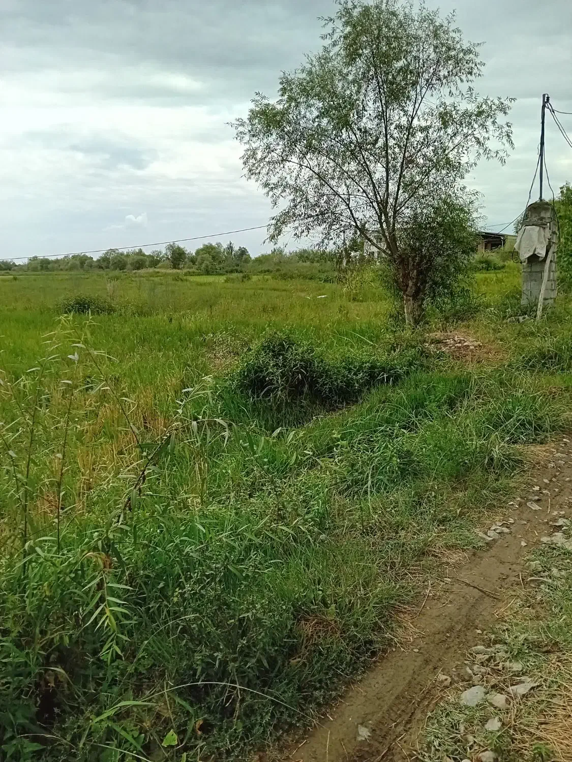 زمین شهرکی /اقساط ۲۲ماه بدون سود|فروش زمین و ملک کلنگی|دابودشت, |دیوار