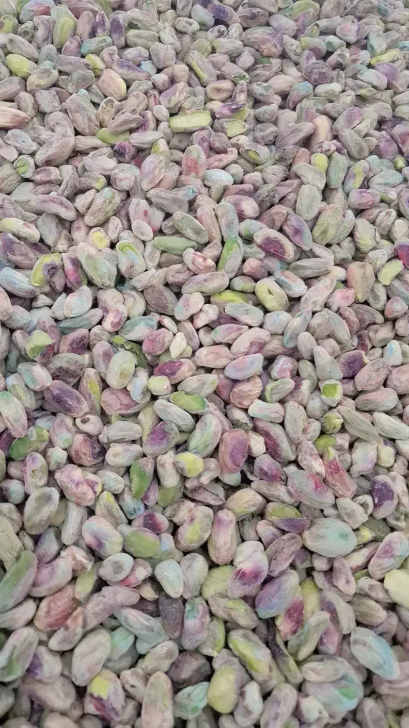 فروش مغزه پسته گلدار و سبز فیض آباد|خوردنی و آشامیدنی|تهران, ترمینال جنوب|دیوار