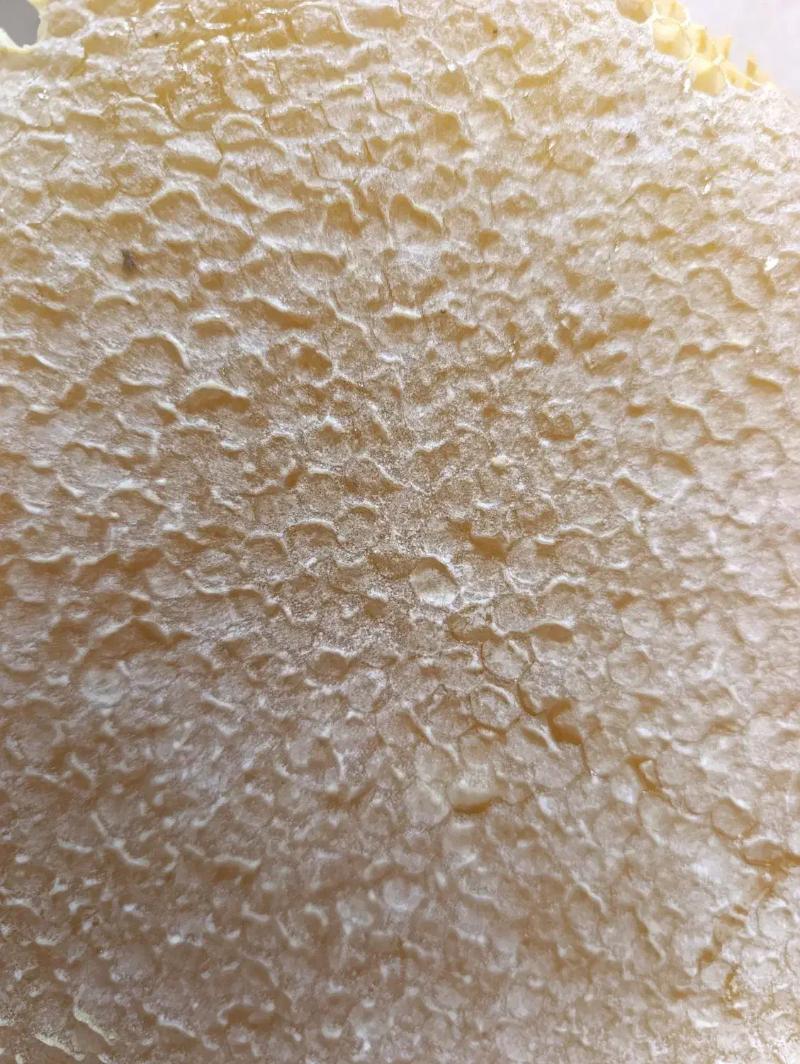 عسل بدون موم مرغوب چالدران|خوردنی و آشامیدنی|ماکو, |دیوار