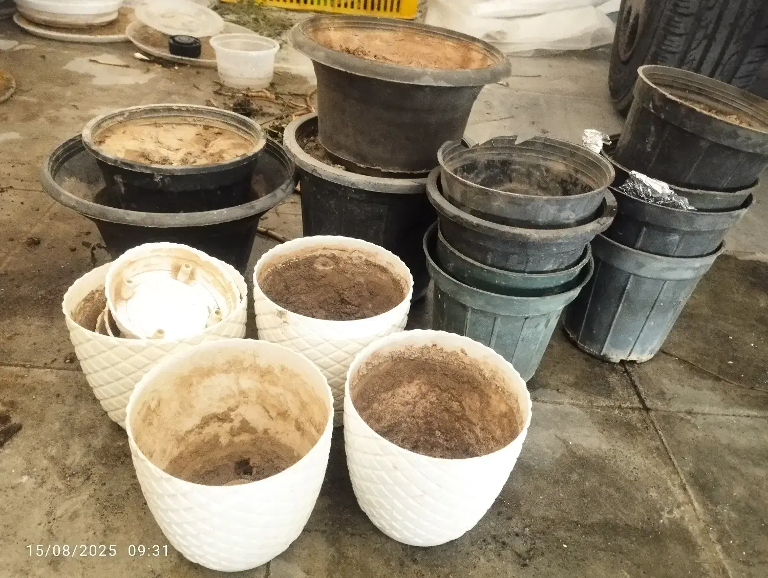 استند و گلدان سفالی و پلاستیکی|گل و گیاه طبیعی|جهرم, |دیوار