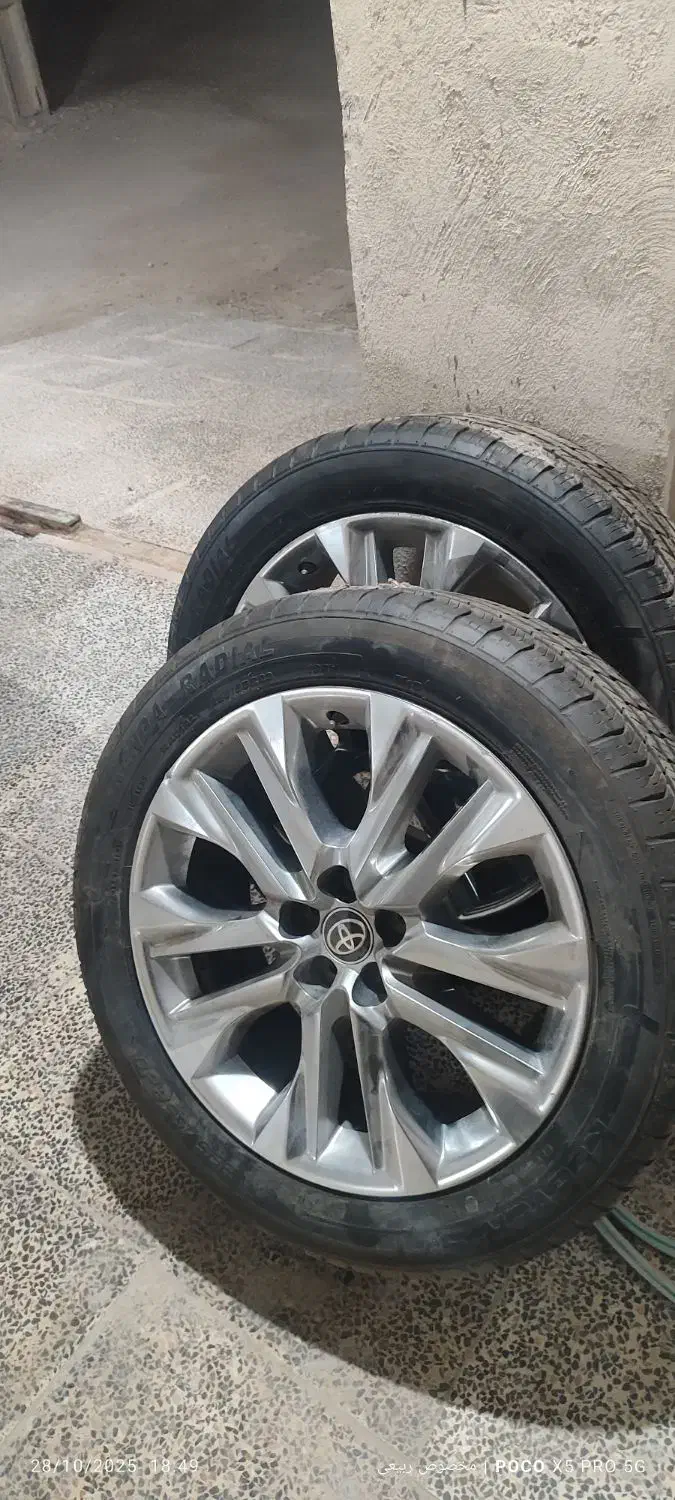 رینگ واللاستیک|قطعات یدکی و لوازم جانبی|بندرلنگه, |دیوار