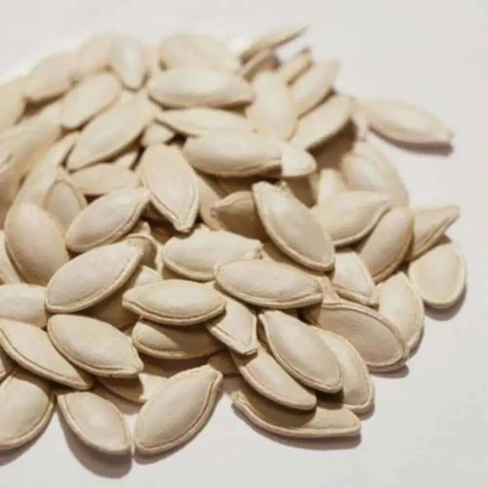 تخمه کدو گوشتی فوق اعلا|خوردنی و آشامیدنی|قره ضیاالدین, |دیوار