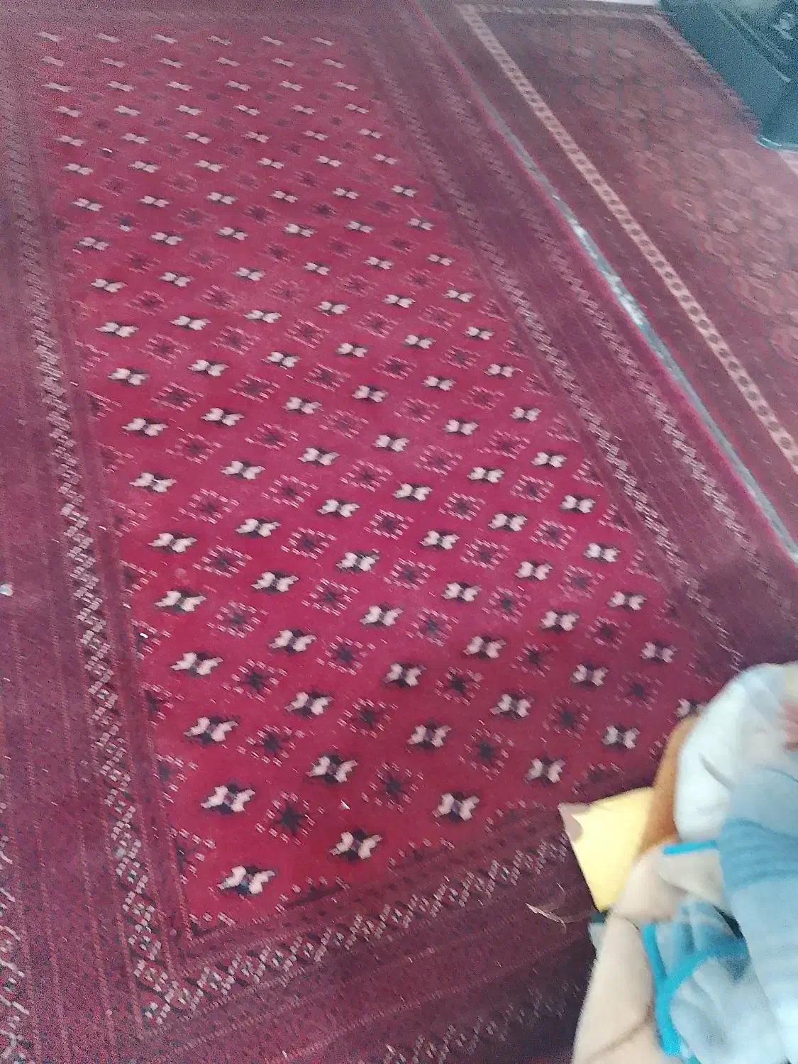 فرش دستبافت|فرش|مشهد, شهید قربانی|دیوار