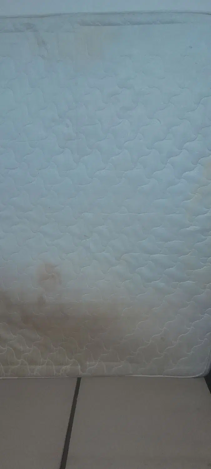 تشک تختخواب دونفره|تشک تختخواب|بوشهر, |دیوار