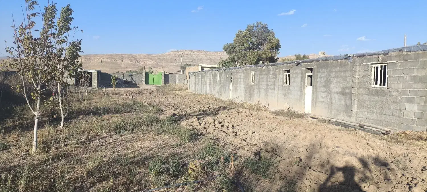 شراکت وسرمایه گذاری|حیوانات مزرعه|حمیل, |دیوار