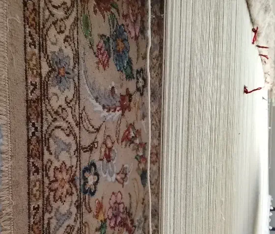 مشاوره فروش انواع فرش دستباف هر متری|فرش|بجنورد, |دیوار