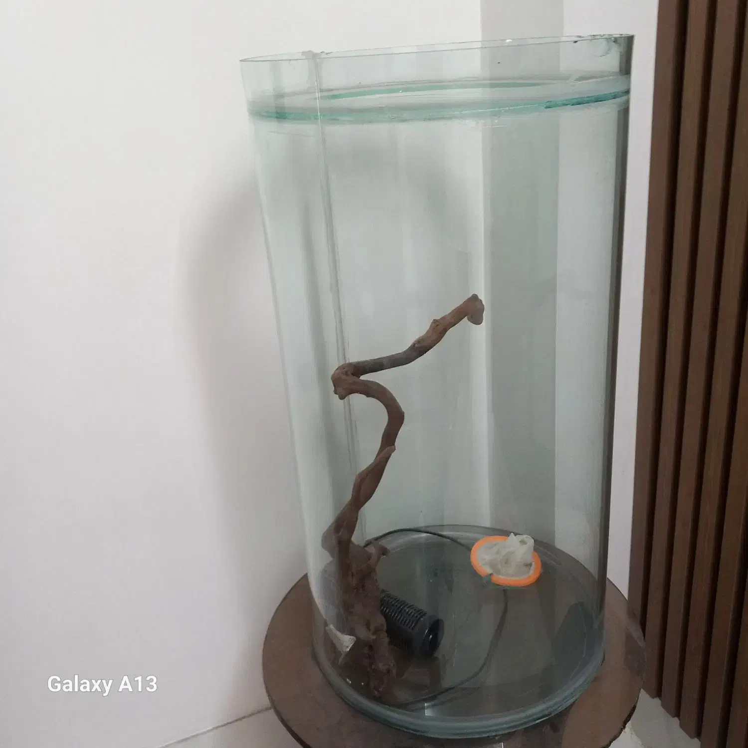 آکواریوم استوانه‌ای بزرگ|ماهی|تربت جام, والفجر|دیوار