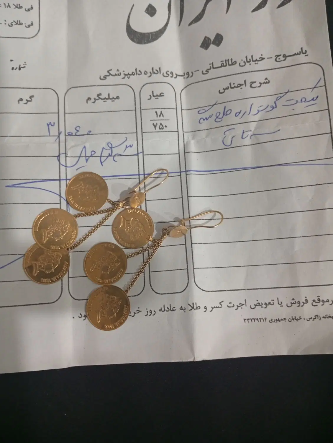 سگ خانگی|سگ|یاسوج, |دیوار
