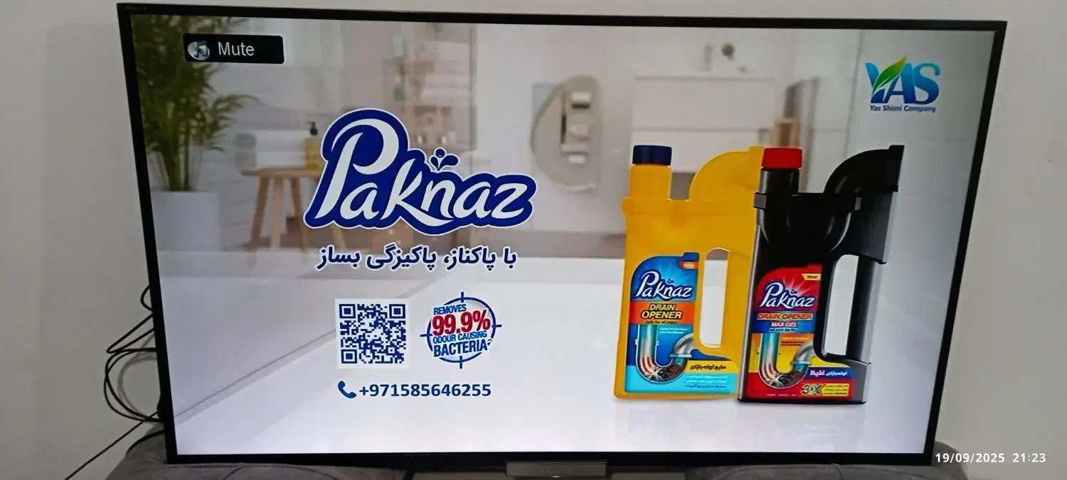 تلویزیون ال ای دی سونی|تلویزیون و پروژکتور|رشت, پل تالشان|دیوار