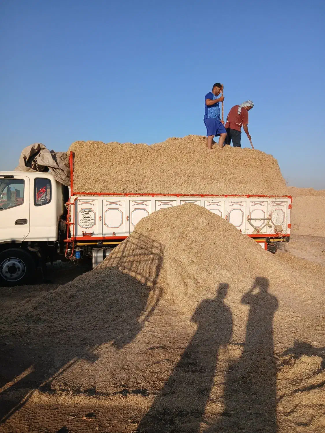 فروشی|حیوانات مزرعه|زارچ, |دیوار