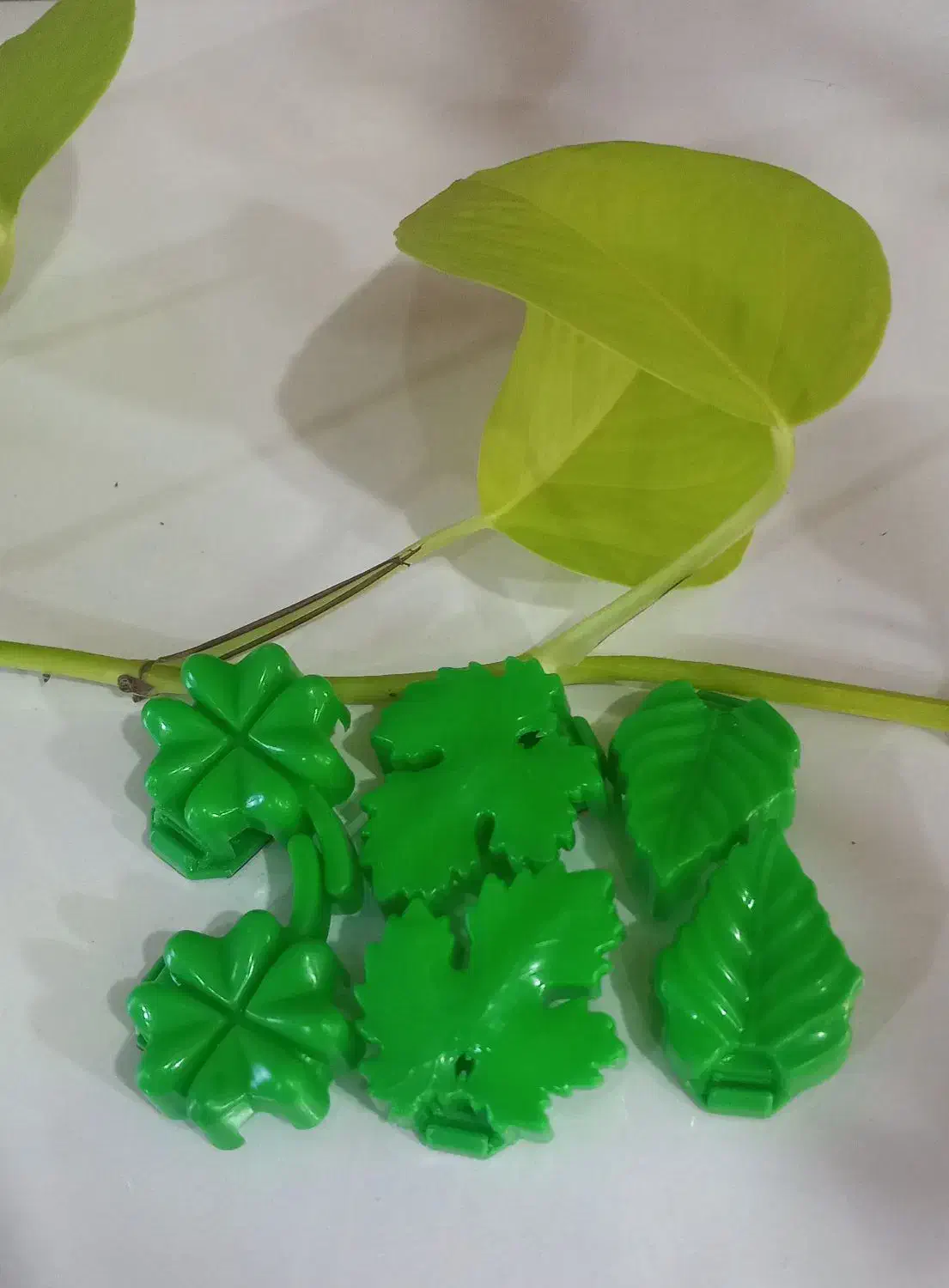 فروش کود و ملزومات گل و گیاهان آپارتمانی|گل و گیاه طبیعی|رفسنجان, |دیوار