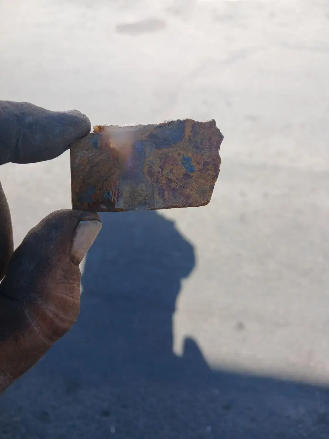 شجر گل اناری|جواهرات|زنجان, |دیوار