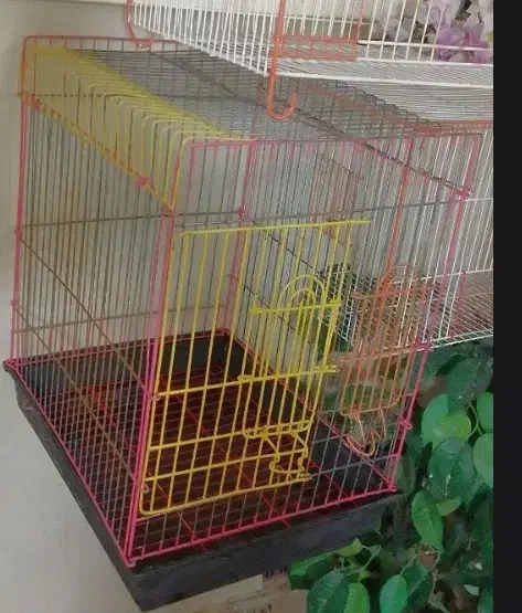 قفس|لوازم جانبی حیوانات|شهر ری, شهرری|دیوار