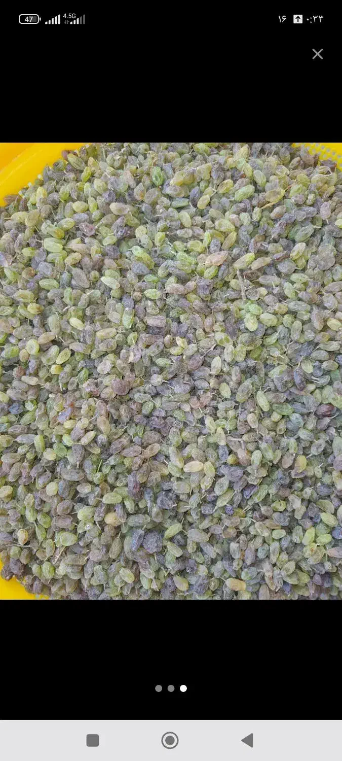 فروش کشمش طبیعی|خوردنی و آشامیدنی|ملایر, |دیوار