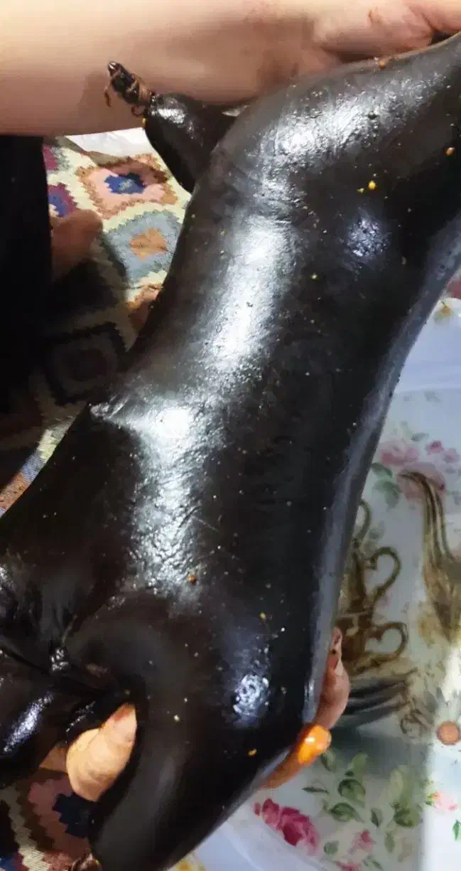 کت وهیزه|لباس|جوانرود, |دیوار