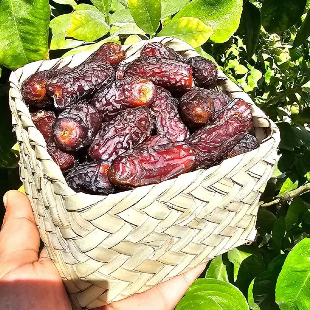 خرما پیارم|خوردنی و آشامیدنی|تهران, منیریه|دیوار