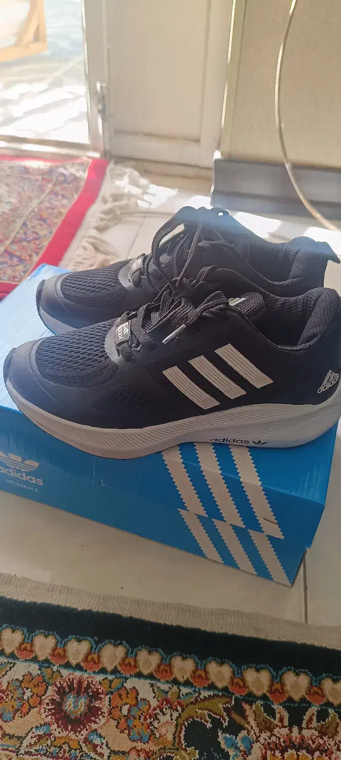 کفش اسپرت ورزشی آدی داس|کیف، کفش، کمربند|شیراز, دکتر حسابی|دیوار