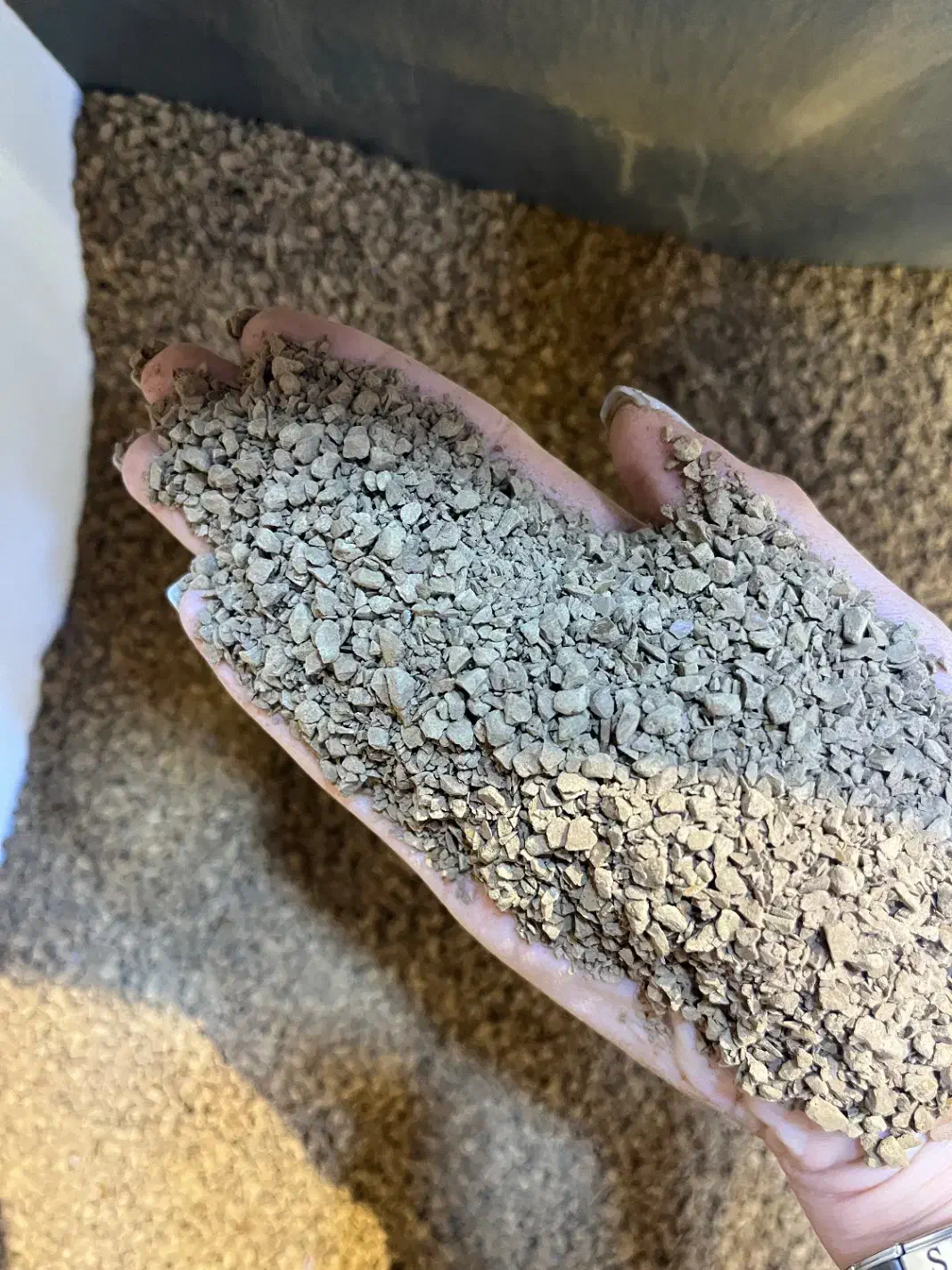 گلد کلاسیک|عمده‌فروشی|مشهد, ایثار|دیوار