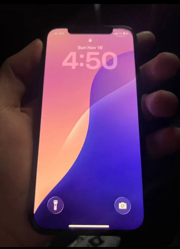 گوشی آیفون ۱۲پرودرحدنو|موبایل|شیراز, بید زرد|دیوار