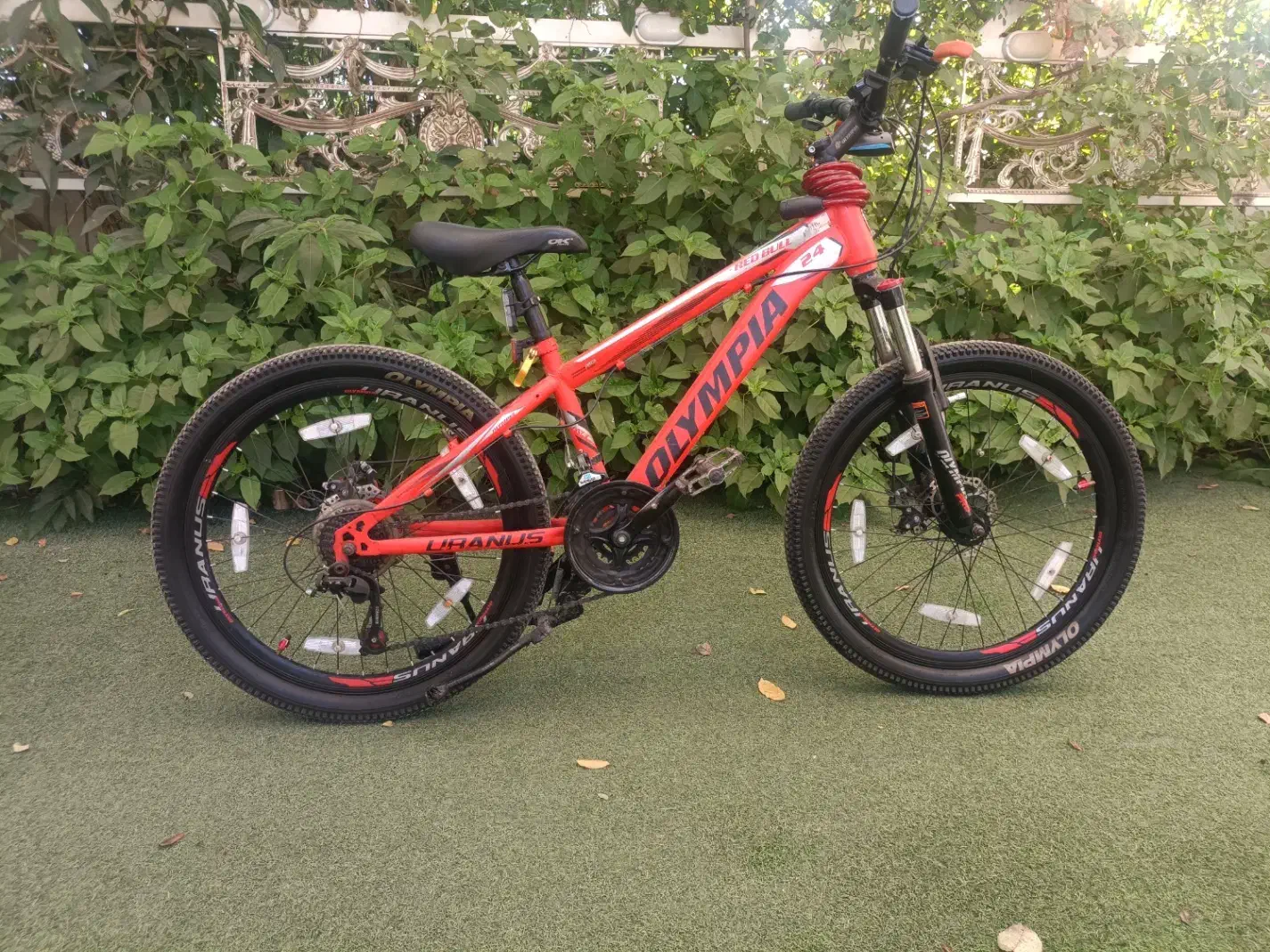 دوچرخه24المپیا|دوچرخه، اسکیت، اسکوتر|فومن, |دیوار