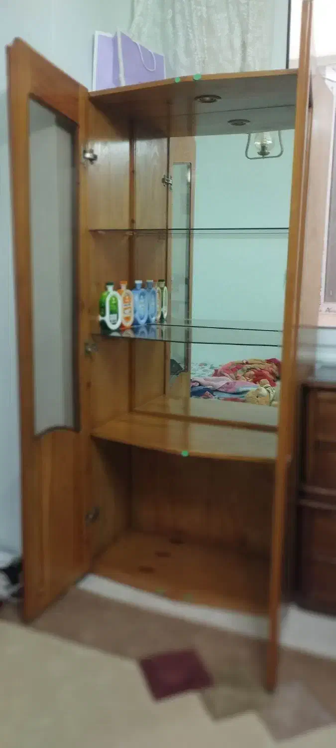 کتابخانه و ویترین چوبی|کتابخانه، شلف، قفسه‌های دیواری|اصفهان, بهارستان|دیوار