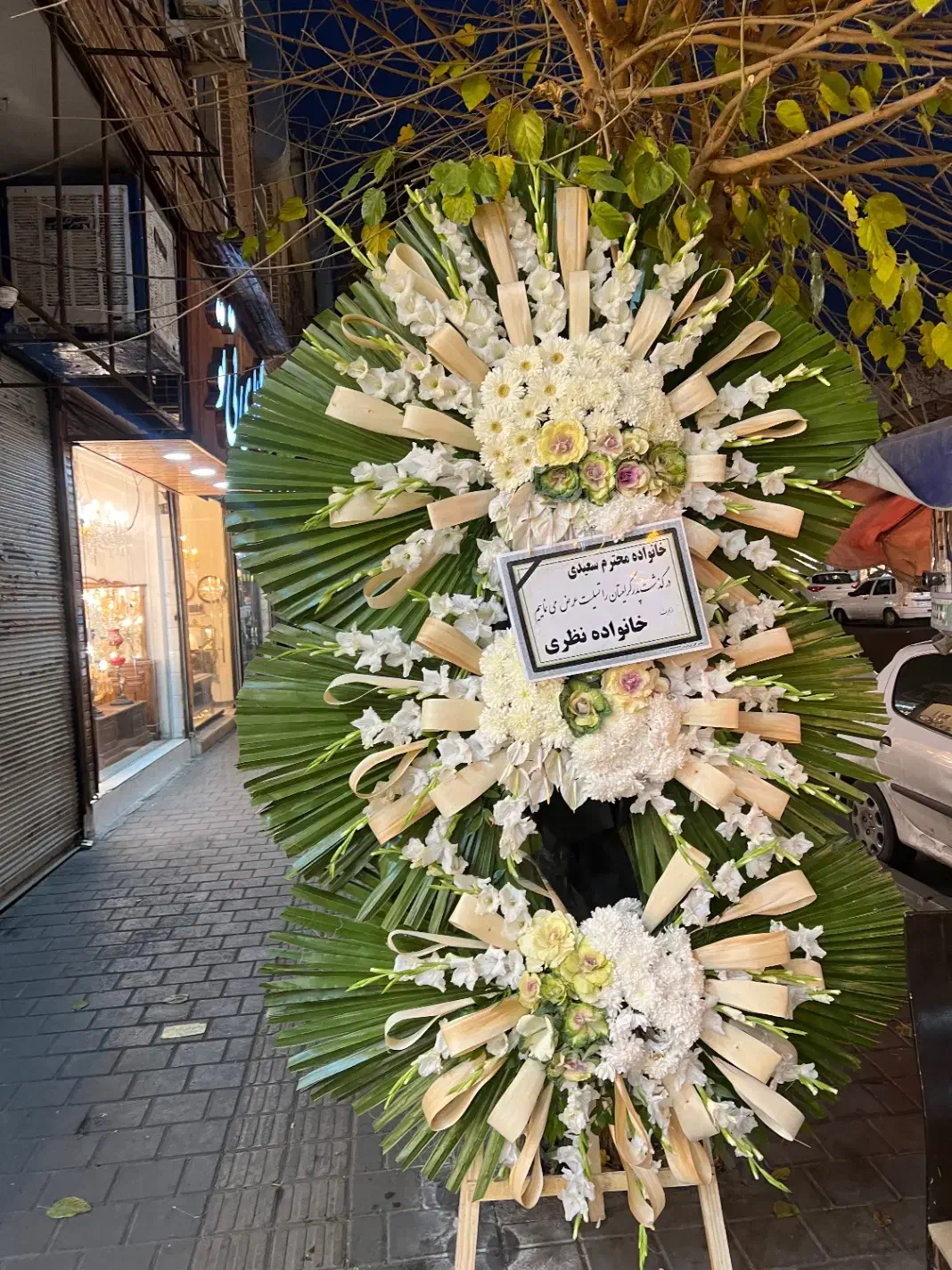 تاجگل|گل و گیاه طبیعی|تهران, مینابی|دیوار