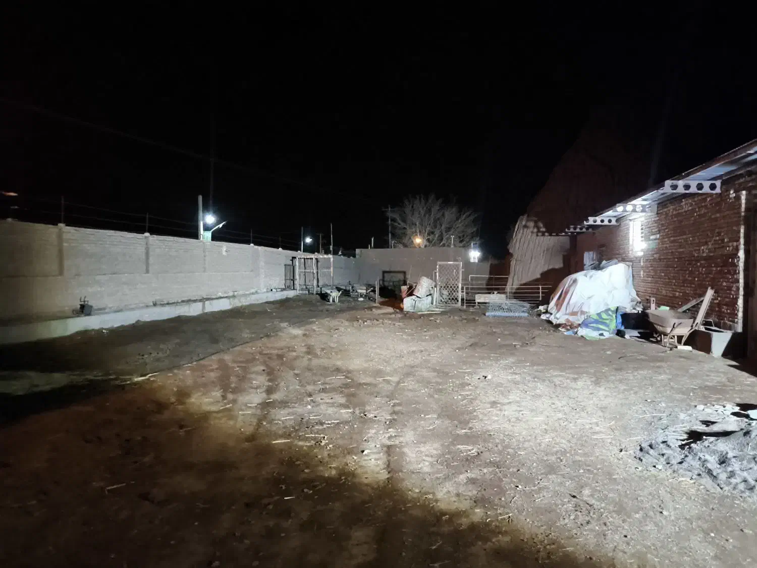 گاو شیری|حیوانات مزرعه|باشتین, |دیوار