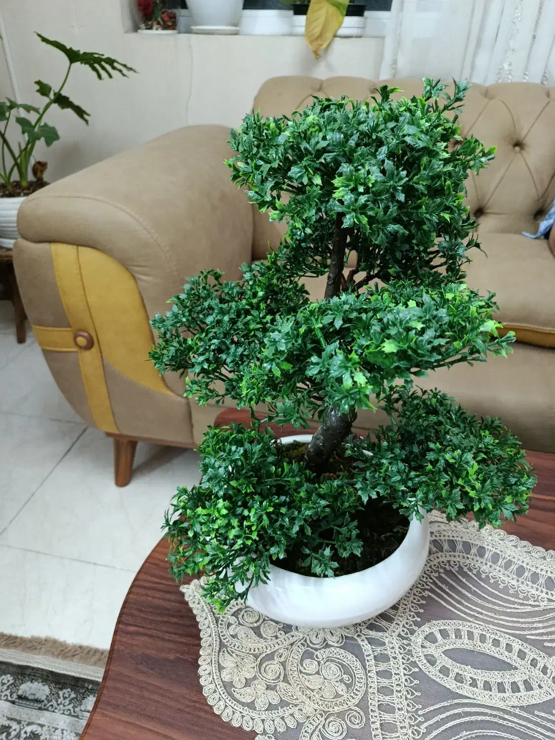 گل مصنوعی بونسای|گل و گیاه طبیعی|تهران, باغ خزانه|دیوار