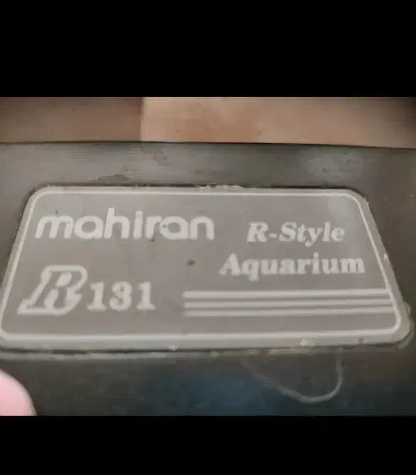 اکواریوم شیشه خم|ماهی|شیراز, کرونی(خاتونک)|دیوار