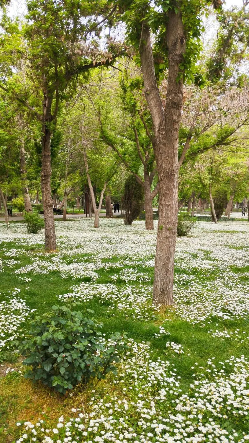 پیاده روی|کوهنوردی و کمپینگ|مشهد, کوثر|دیوار