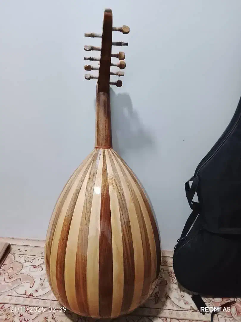 عود|سازهای سنتی|بندرعباس, |دیوار