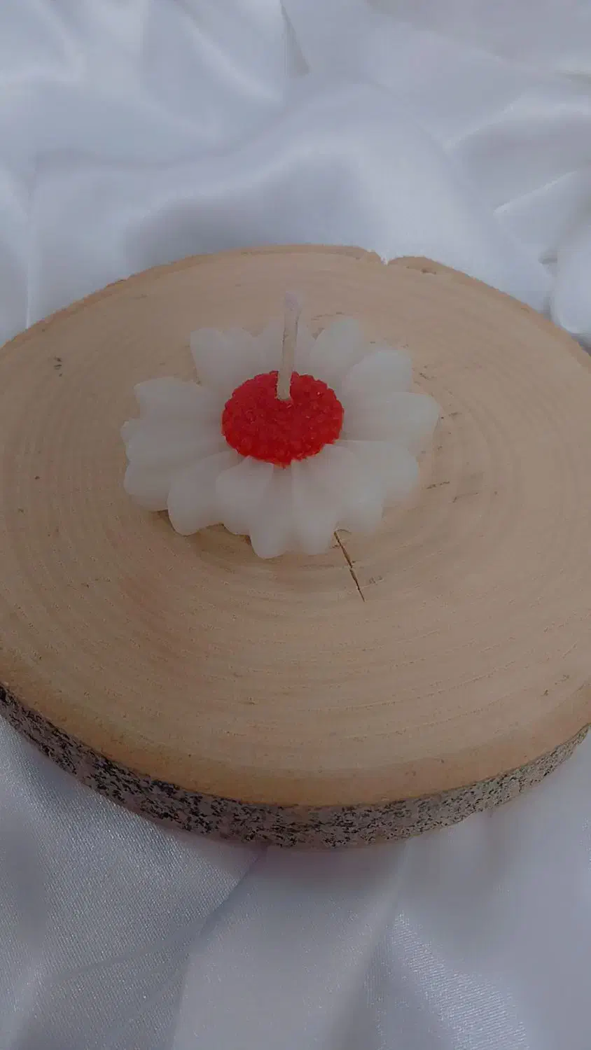 شمع بابونه قرمز یلدا|صنایع دستی و سایر لوازم تزئینی|قم, کلهری|دیوار