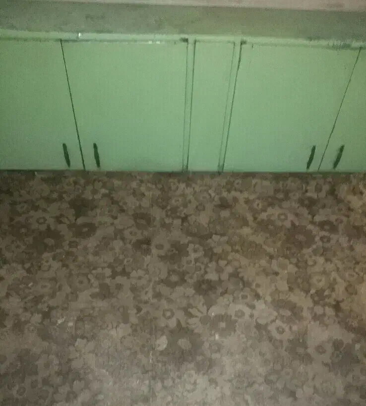 کابینت قدیمی|کلکسیون اشیاء عتیقه|بیرجند, |دیوار