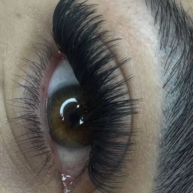 مشاغل آرایشگری|خدمات آرایشگری و زیبایی|شیراز, غدیر جنوبی|دیوار