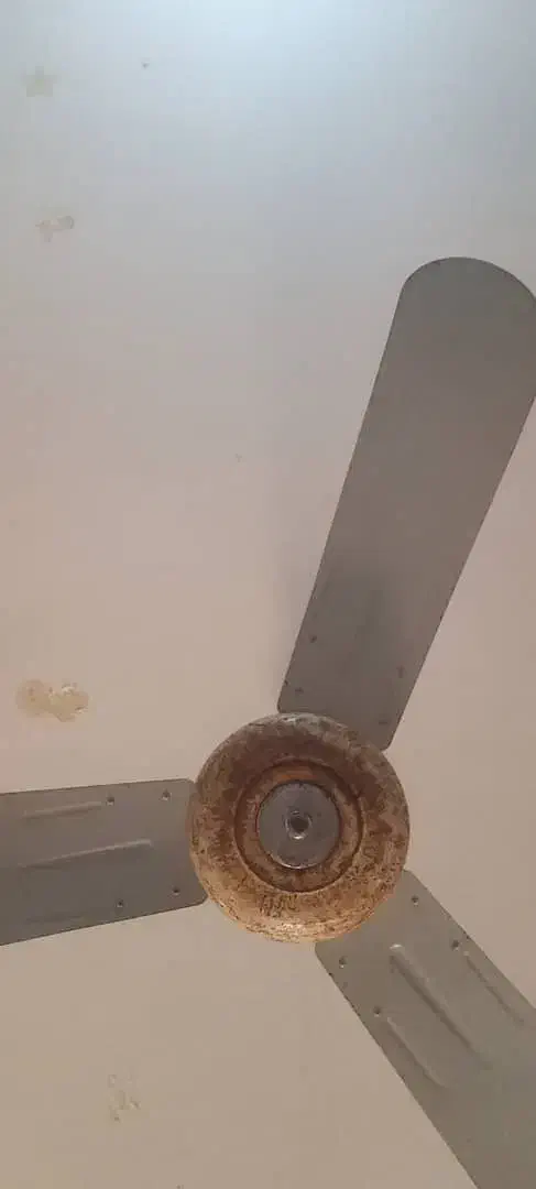 پنکه سقفی زیر قیمت|پنکه و تصفیهکنندهٔ هوا|شبانکاره, |دیوار