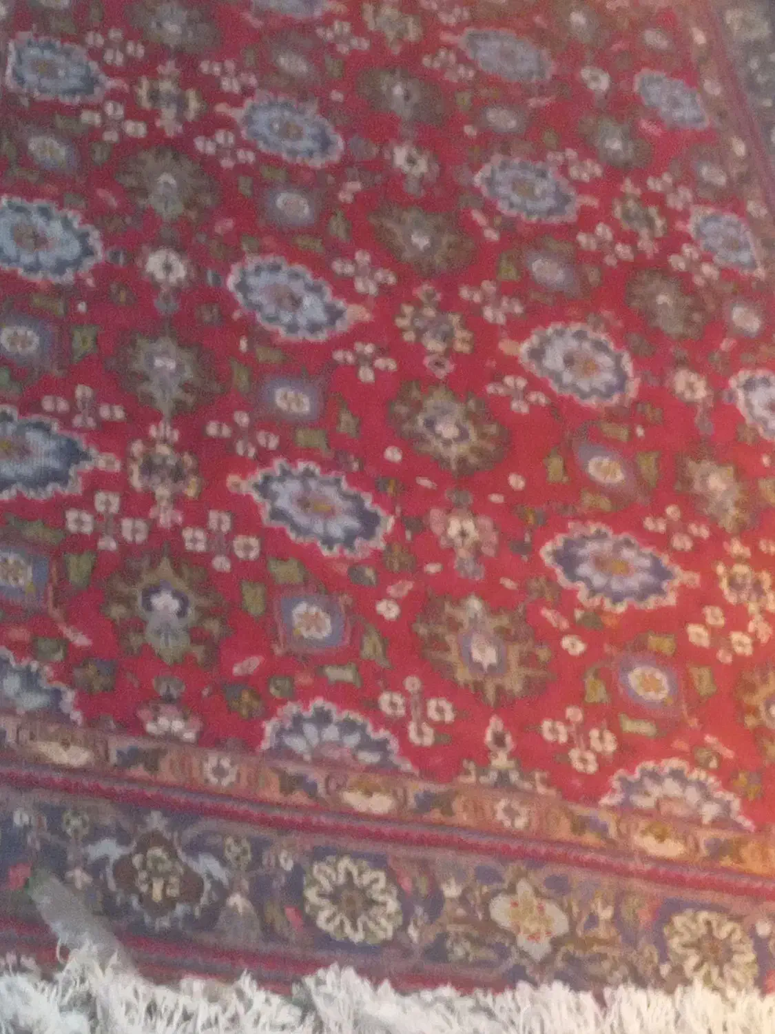 فرش|فرش|صوفیان, |دیوار