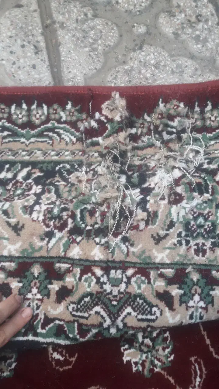 فرش ۶متری|فرش|تبریز, |دیوار