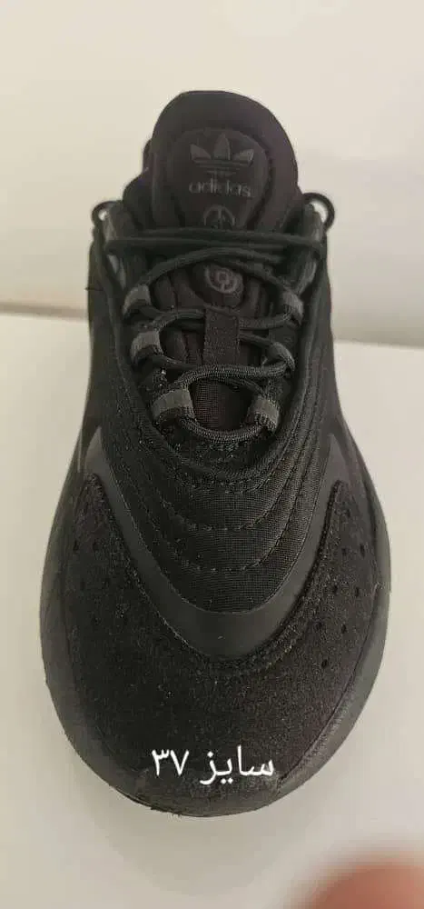 کتونی آدیداس|کیف، کفش، کمربند|شیراز, آزادی|دیوار