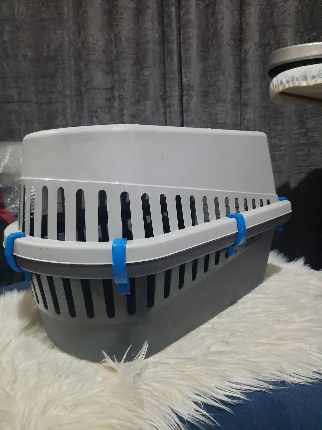 باکس گربه و سگ|لوازم جانبی حیوانات|رشت, علی آباد|دیوار