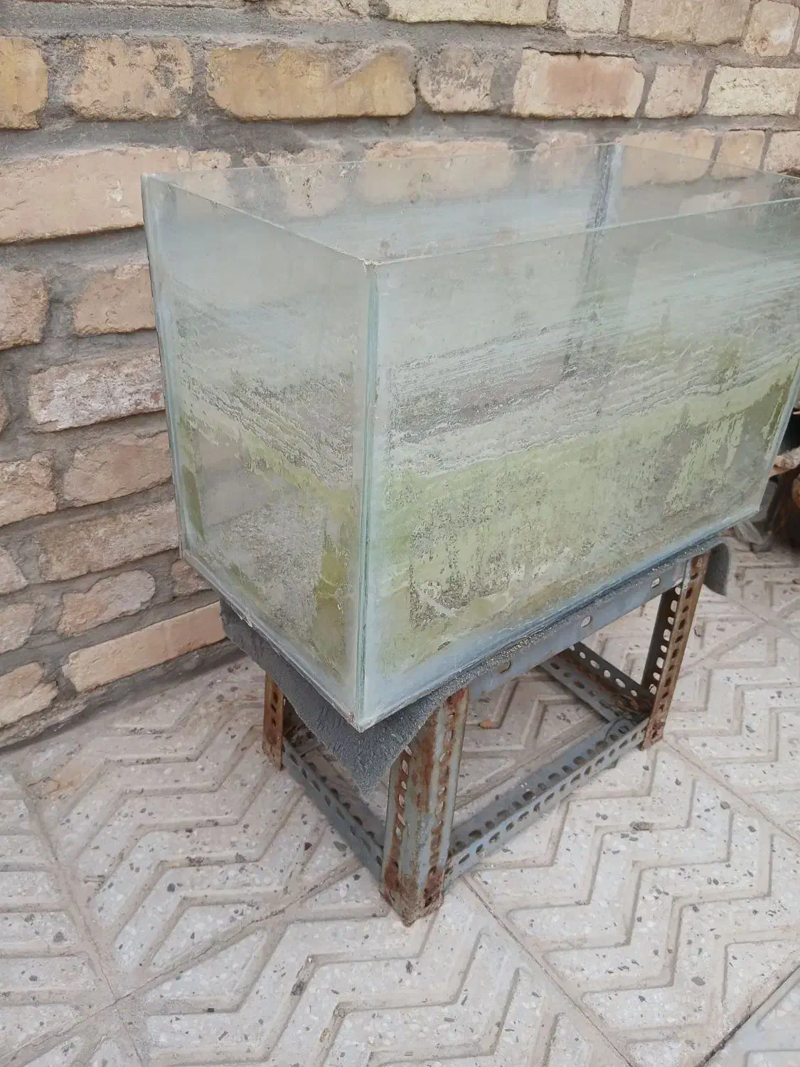 آکواریوم|ماهی|یزد, |دیوار