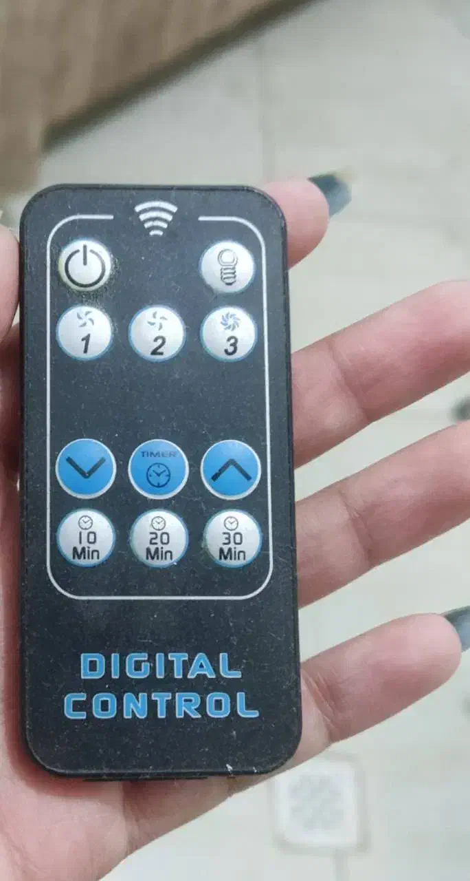 هود|هود|مشهد, جاهد شهر|دیوار