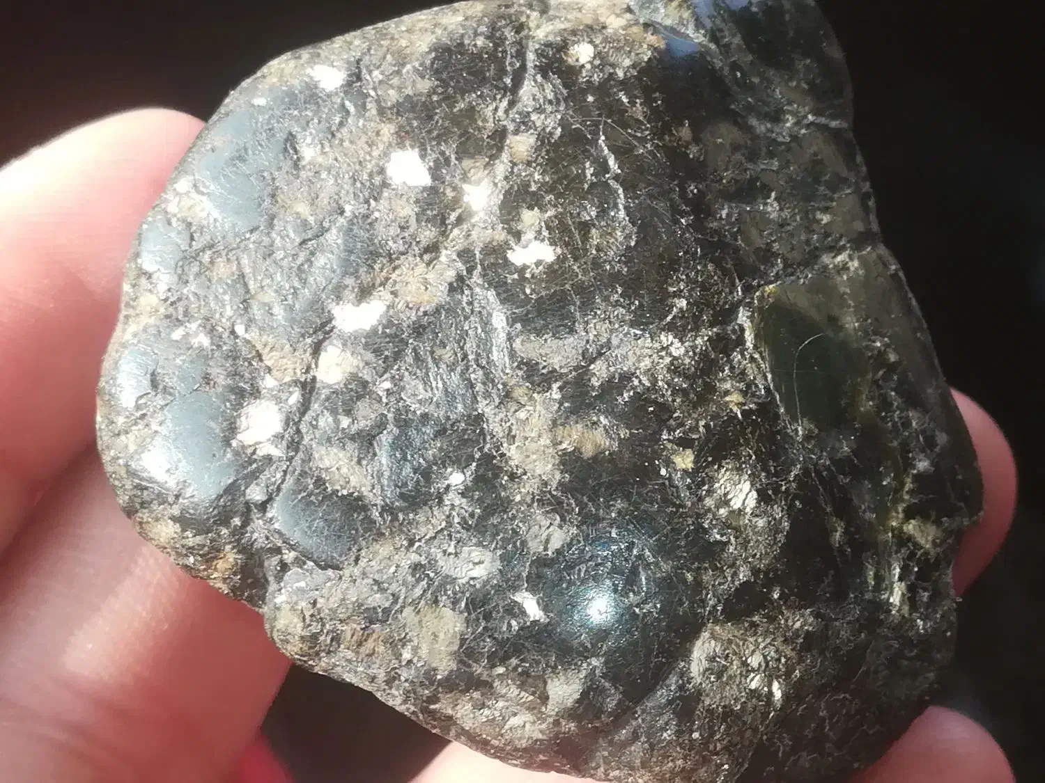 شهاب سنگ پالاساید|کلکسیون اشیاء عتیقه|تهران, تهرانپارس شرقی|دیوار