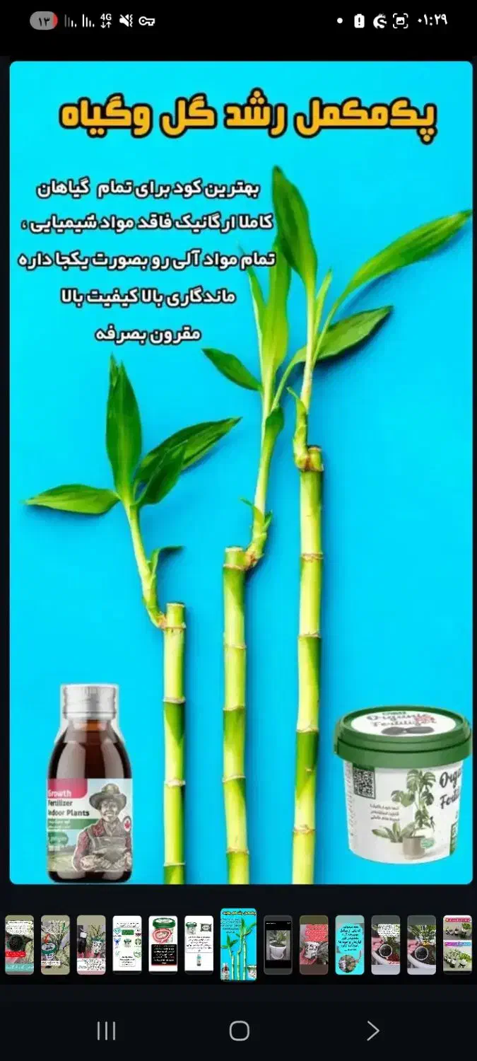 قرص کود|گل و گیاه طبیعی|ماکو, |دیوار