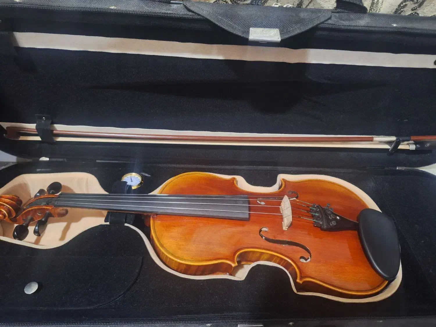 ویولن|ویولن|شهرکرد, |دیوار