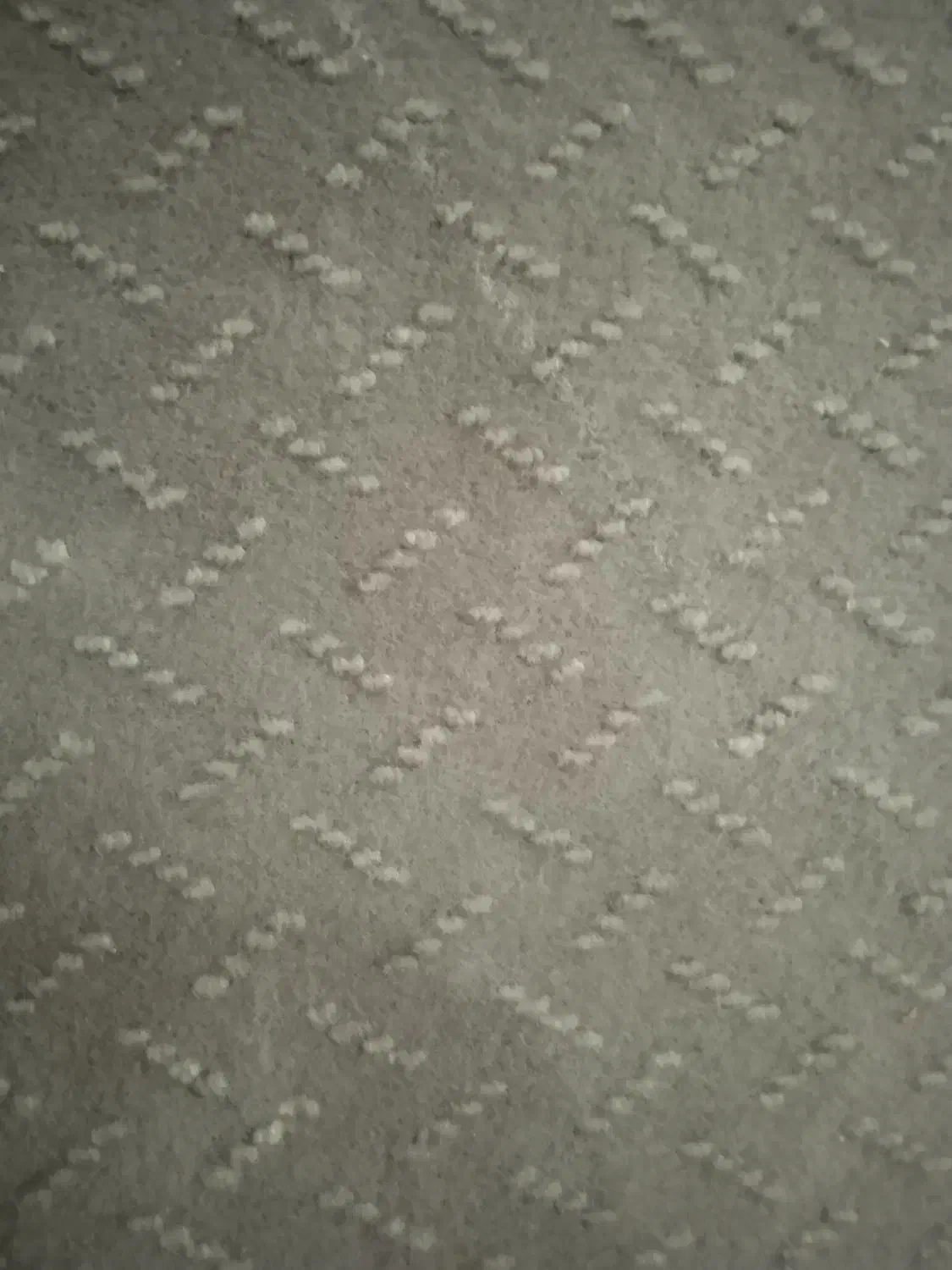 موکت|موکت|تربت‌حیدریه, پائین ولایت|دیوار