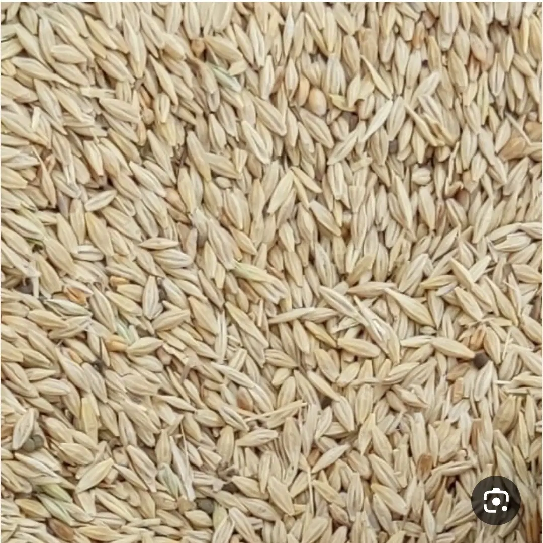 جو آبی|لوازم جانبی حیوانات|آباده, |دیوار